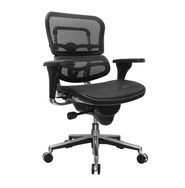 eurotech-ergohuman-all-mesh-task-chair-front-angle