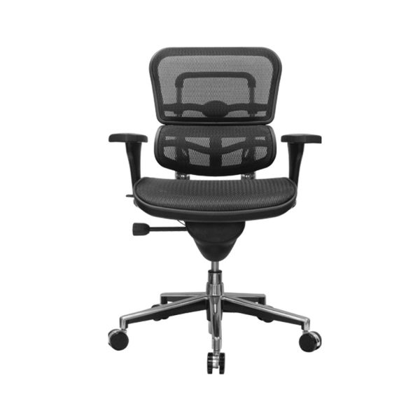 eurotech-ergohuman-all-mesh-task-chair-front